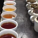 Tea Cupping, Black Tea cupping, Tea tasting
