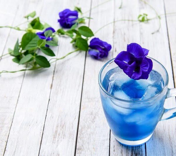 blue pea flower, blue pea flower tea, blue tea, zentea