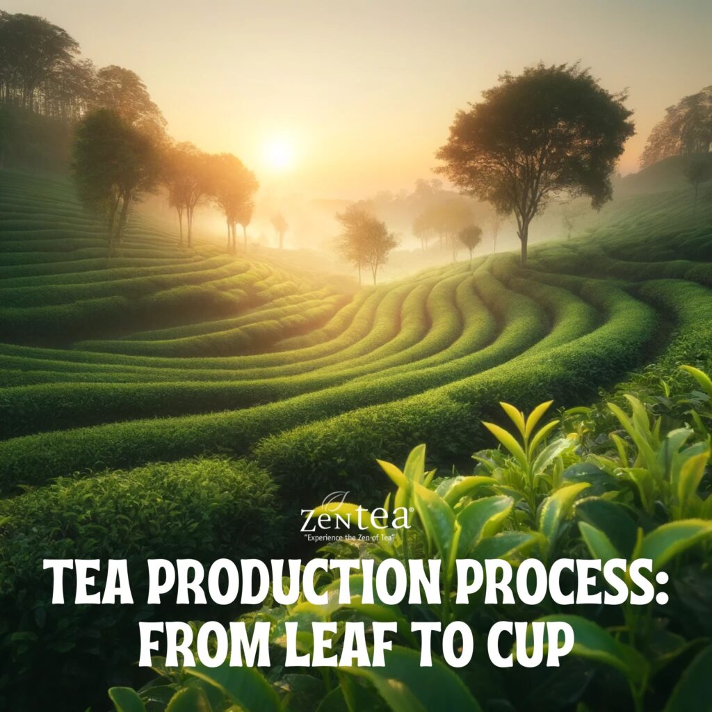 Tea Production Process